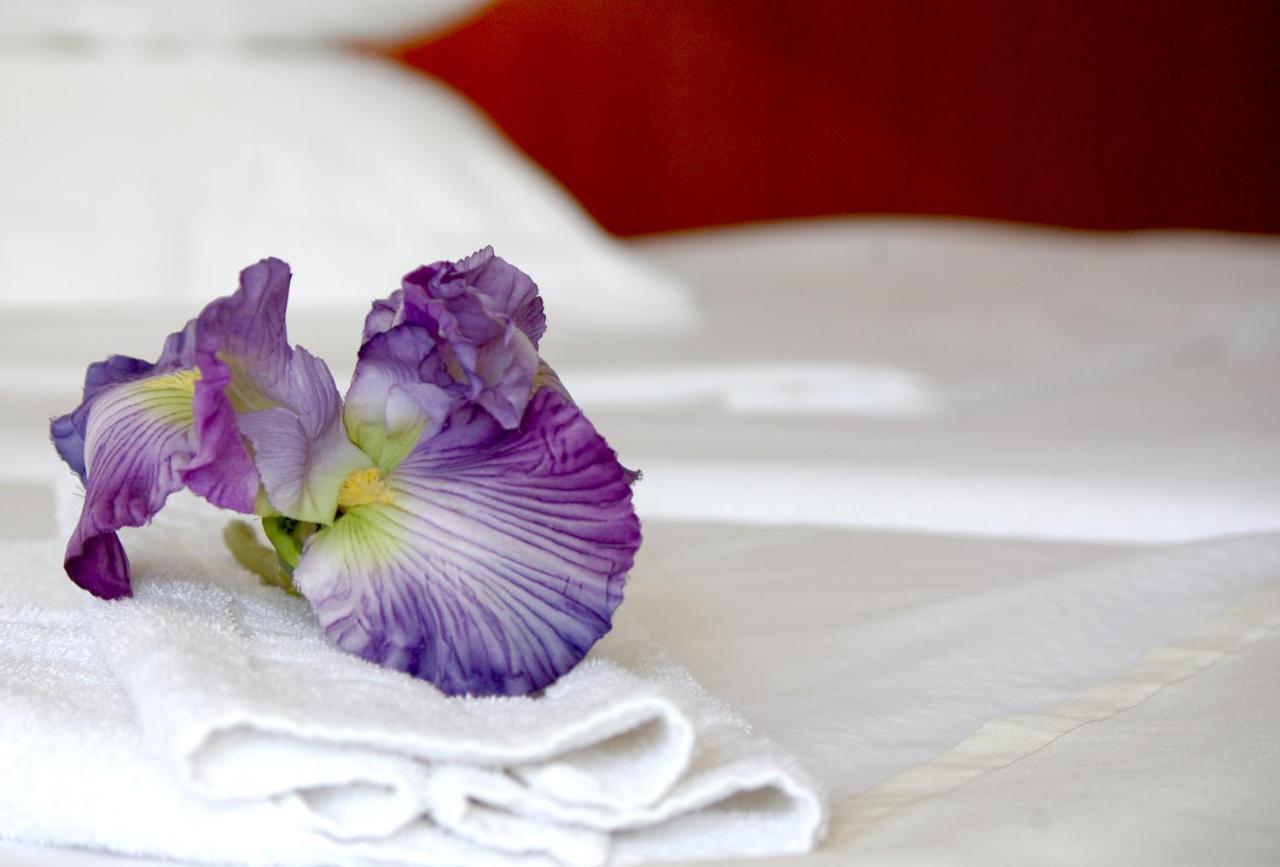 Bluesun Hotel Maestral ブレラ エクステリア 写真